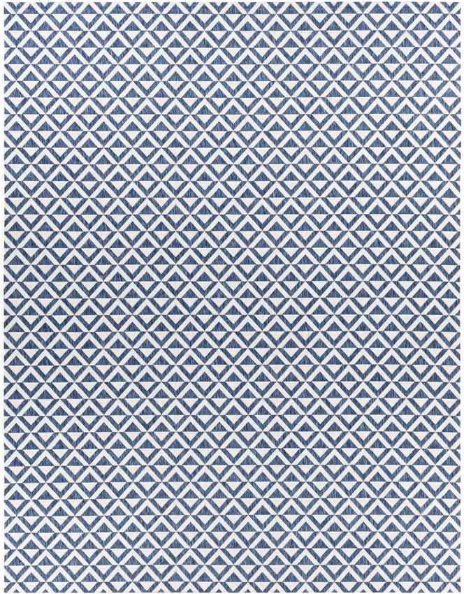 Akkrum Modern Blue Area Rug