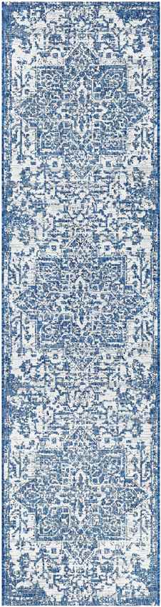 Appelscha Traditional Denim Area Rug