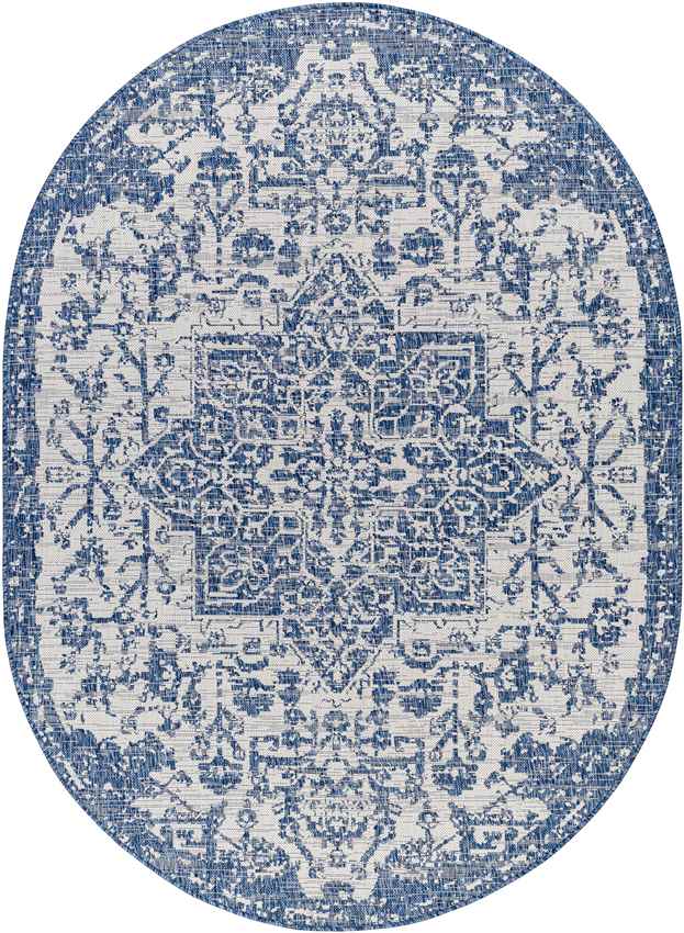 Appelscha Traditional Denim Area Rug