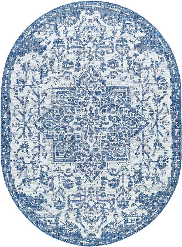 Appelscha Traditional Denim Area Rug