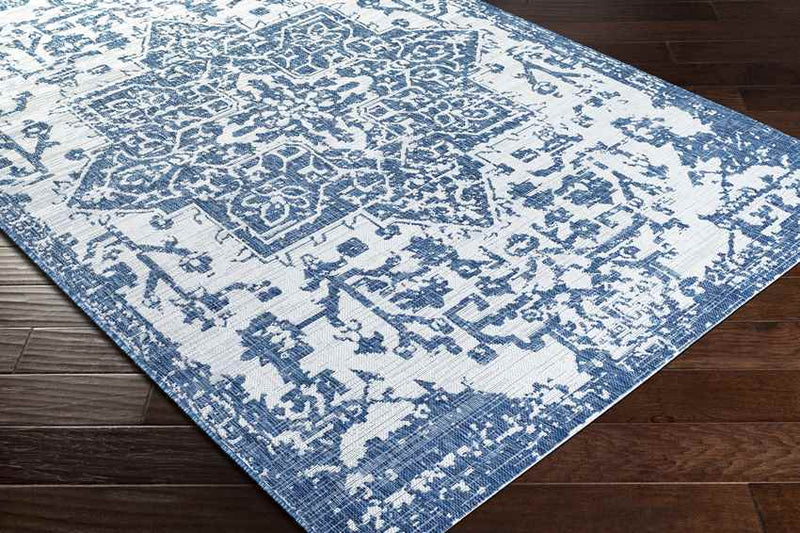 Appelscha Traditional Denim Area Rug