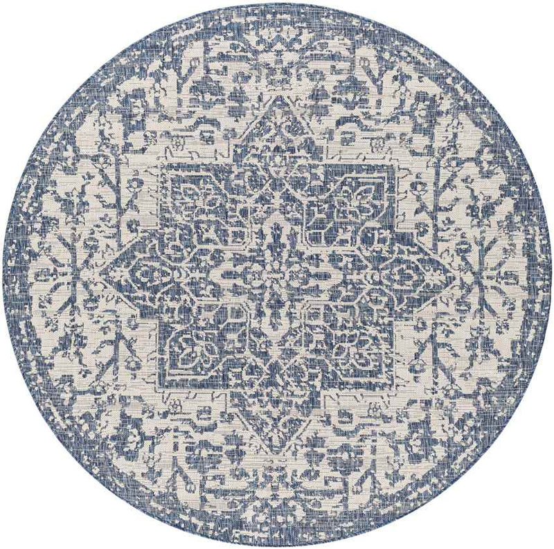 Appelscha Traditional Denim Area Rug