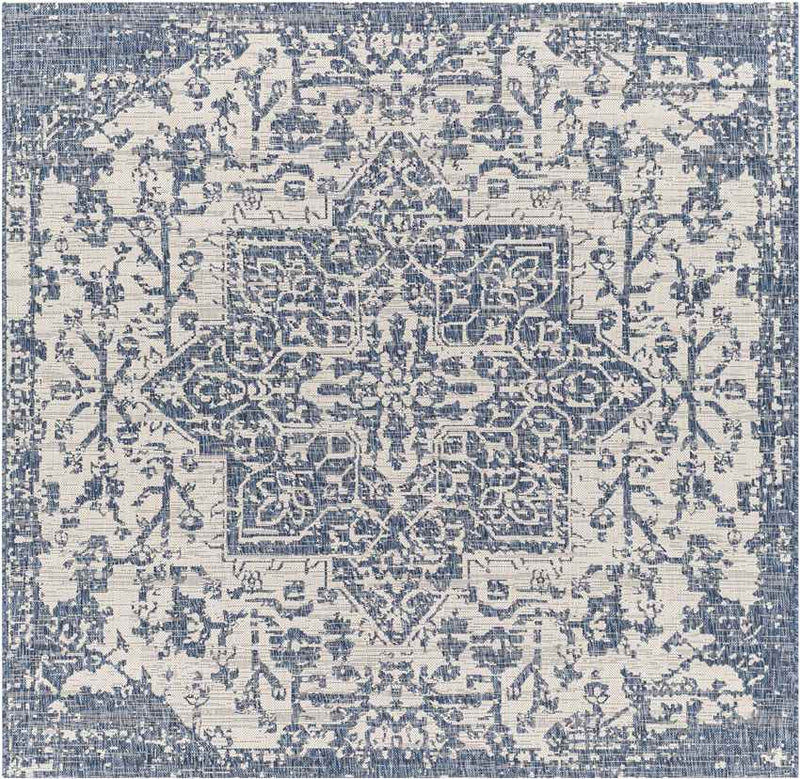 Appelscha Traditional Denim Area Rug