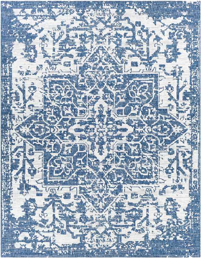 Appelscha Traditional Denim Area Rug