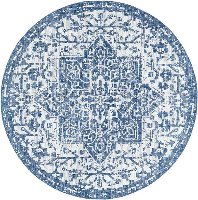 Appelscha Traditional Denim Area Rug