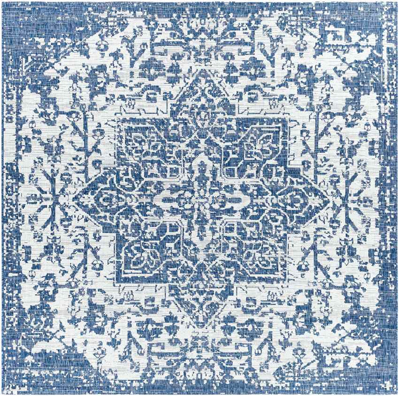 Appelscha Traditional Denim Area Rug