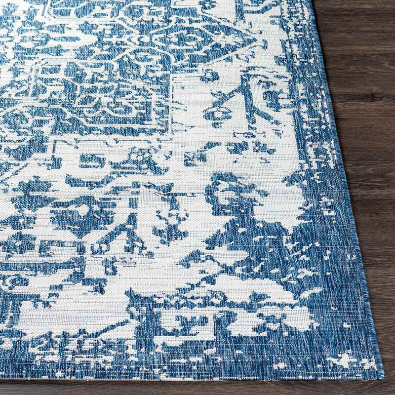 Appelscha Traditional Denim Area Rug