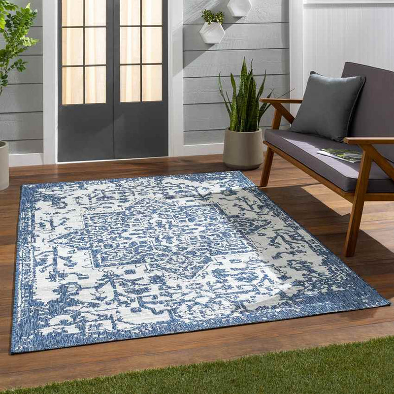 Appelscha Traditional Denim Area Rug