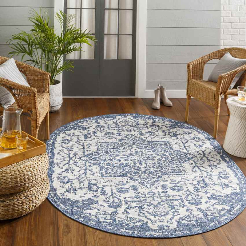 Appelscha Traditional Denim Area Rug