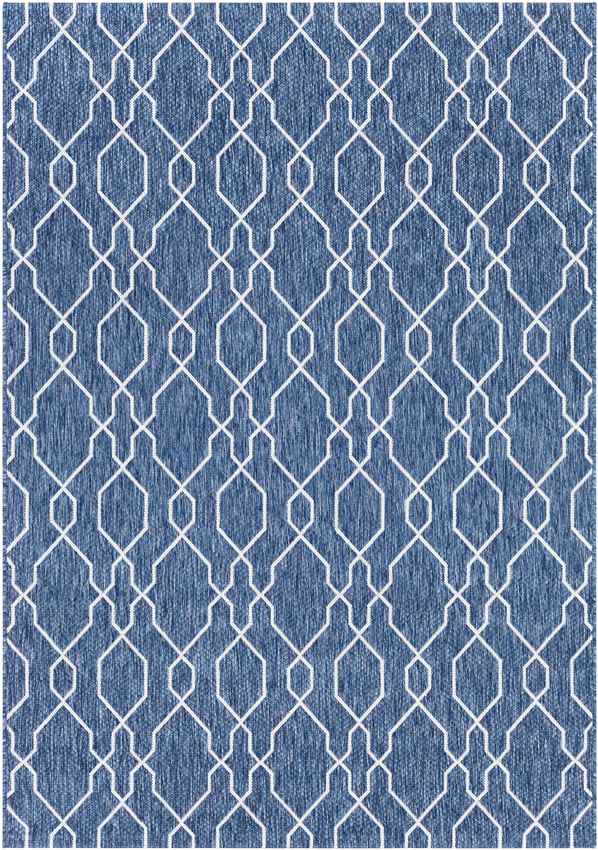 Valentijn Traditional Denim Area Rug