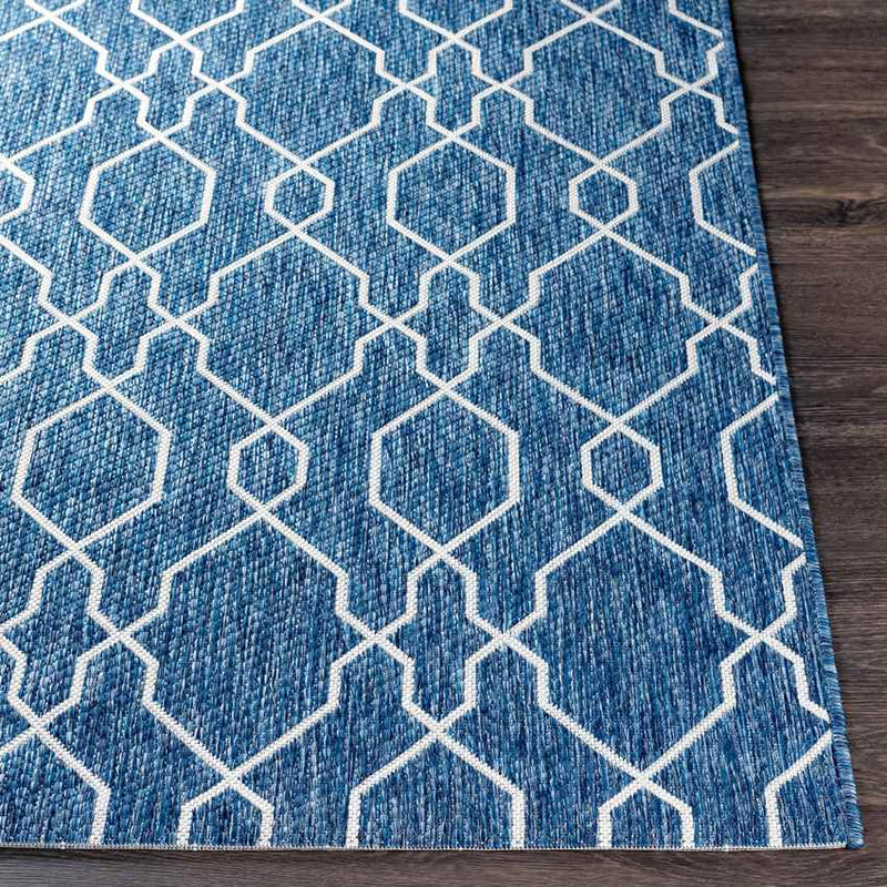 Valentijn Traditional Denim Area Rug