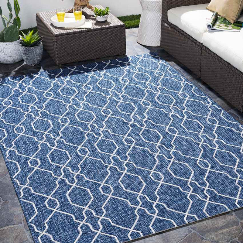 Valentijn Traditional Denim Area Rug