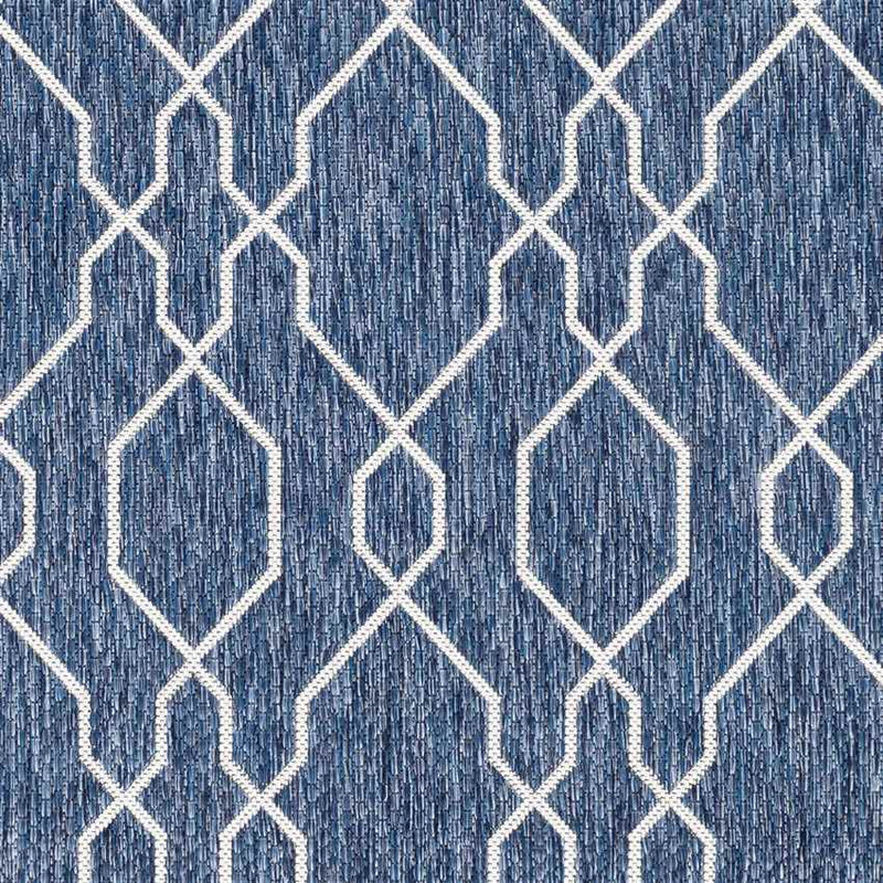 Valentijn Traditional Denim Area Rug