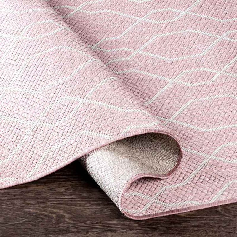 Valentijn Traditional Pink Area Rug