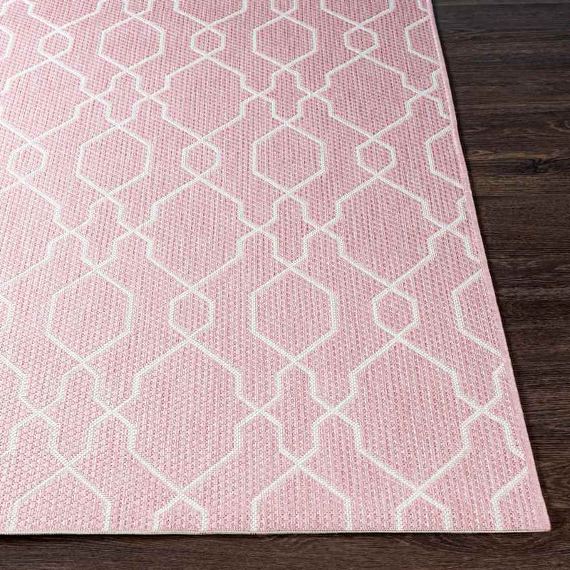 Valentijn Traditional Pink Area Rug