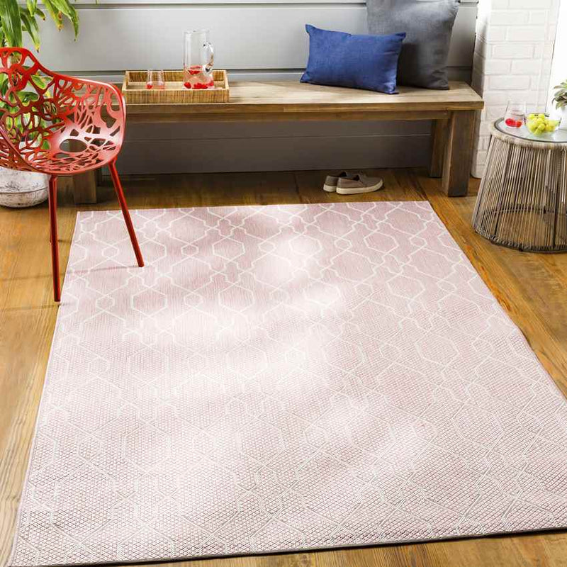 Valentijn Traditional Pink Area Rug