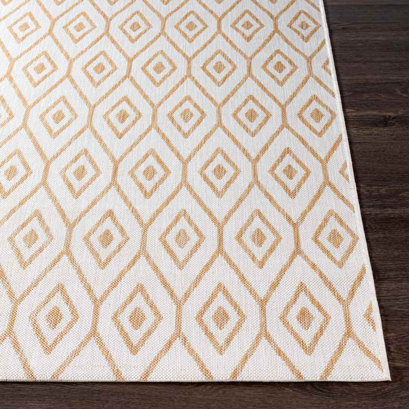 Varssel Traditional Burned Orange Area Rug