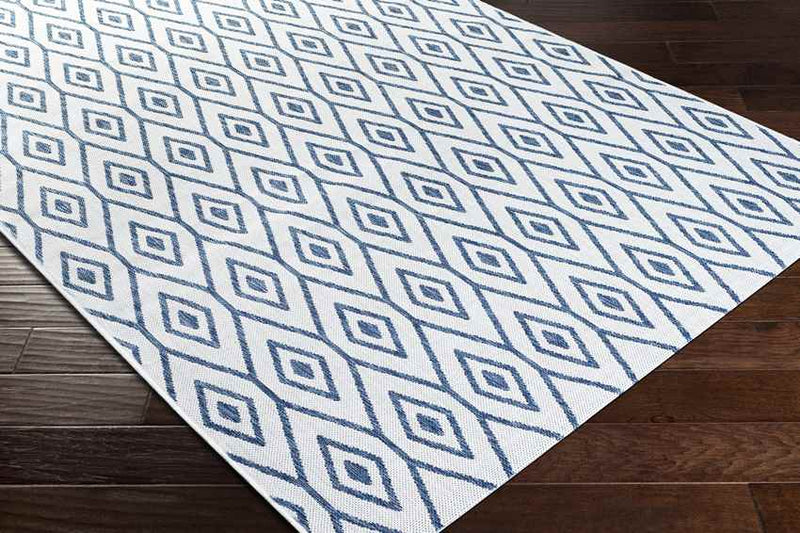 Varssel Traditional Denim Area Rug