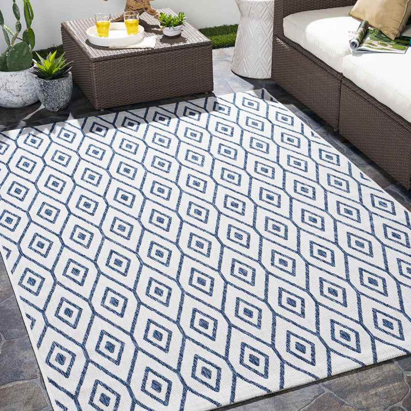 Varssel Traditional Denim Area Rug