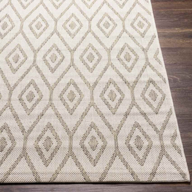 Varssel Traditional Ivory Area Rug