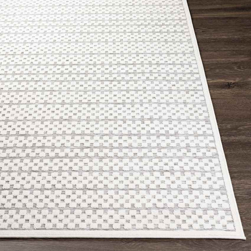 Velddijk Modern Light Slate Area Rug