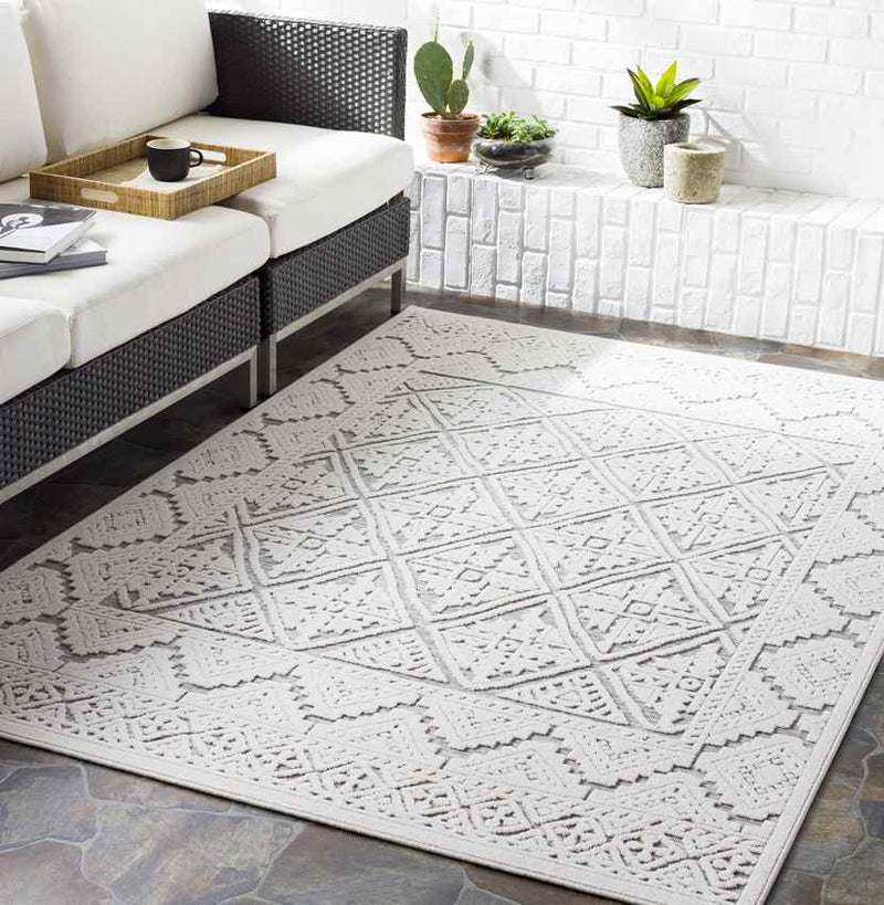 Speuld Global Medium Gray Area Rug