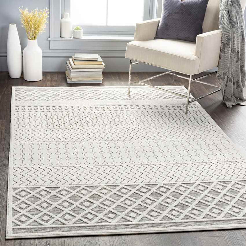 Telgt Global Medium Gray Area Rug