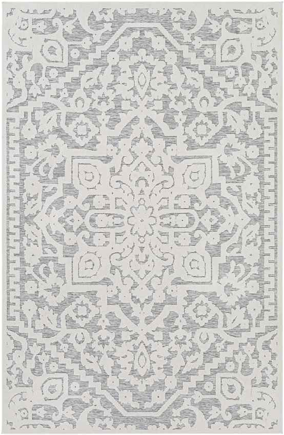 Terborg Traditional Medium Gray Area Rug