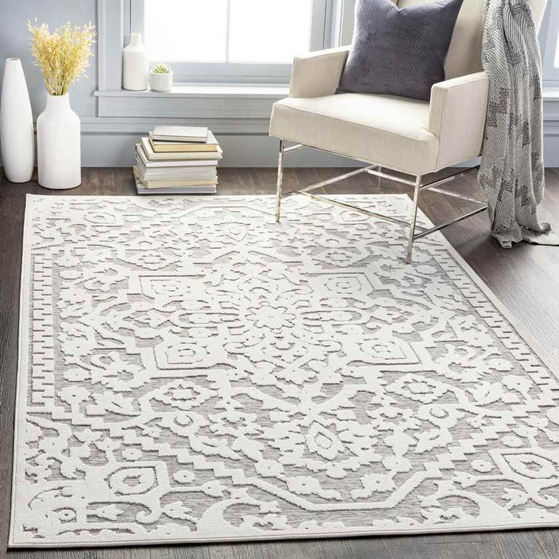 Terborg Traditional Medium Gray Area Rug