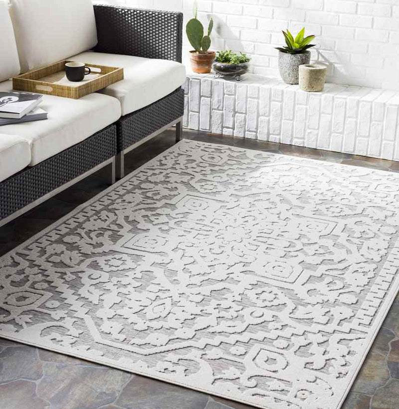 Terborg Traditional Medium Gray Area Rug