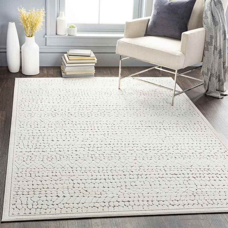 Terschuur Global Medium Gray Area Rug