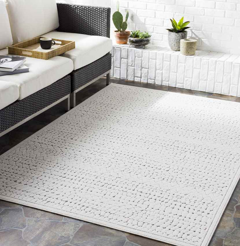 Terschuur Global Medium Gray Area Rug