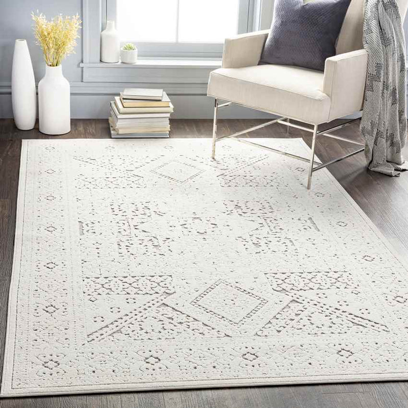 Terwolde Global Medium Gray Area Rug