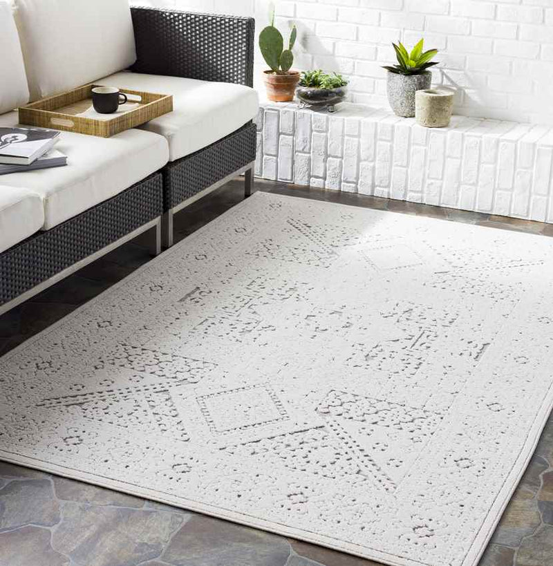 Terwolde Global Medium Gray Area Rug