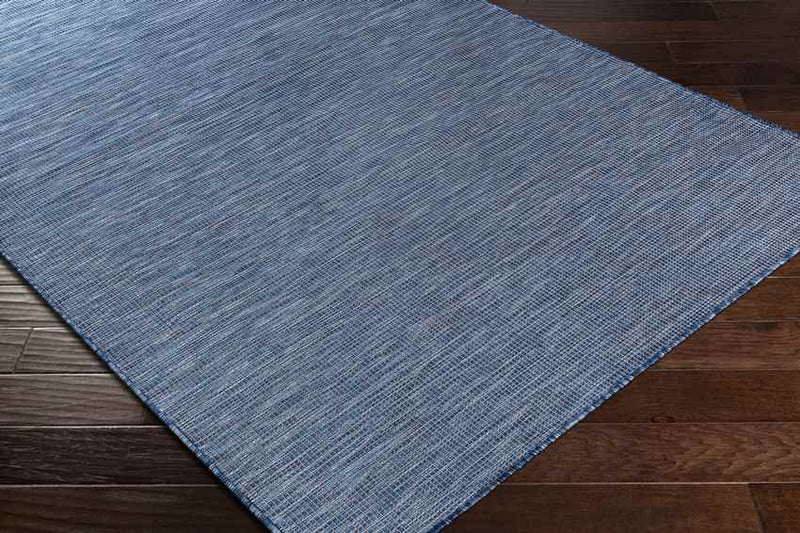 Tonsel Traditional Blue Area Rug