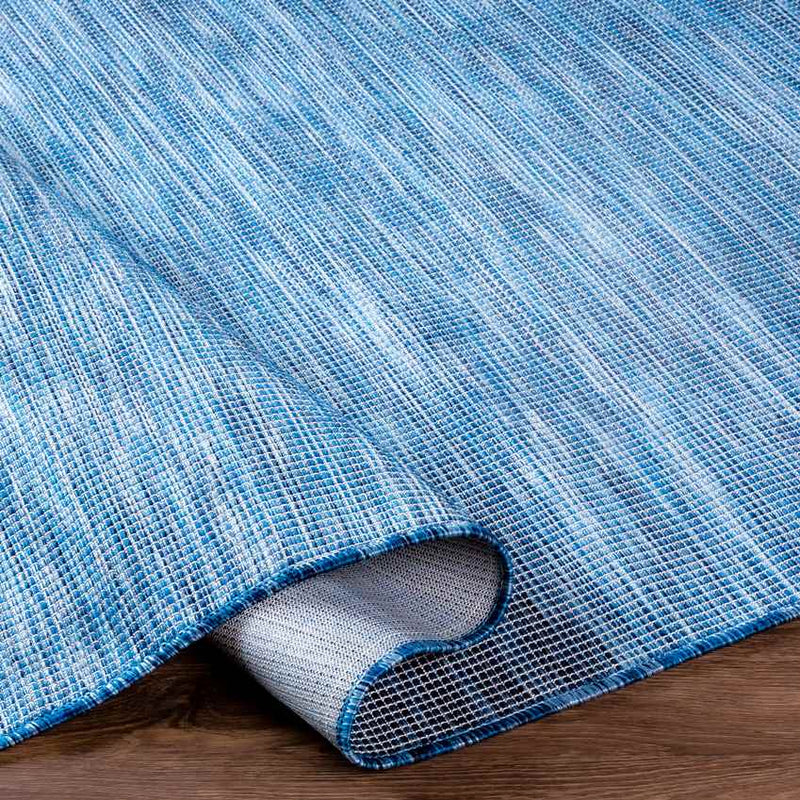 Tonsel Traditional Blue Area Rug