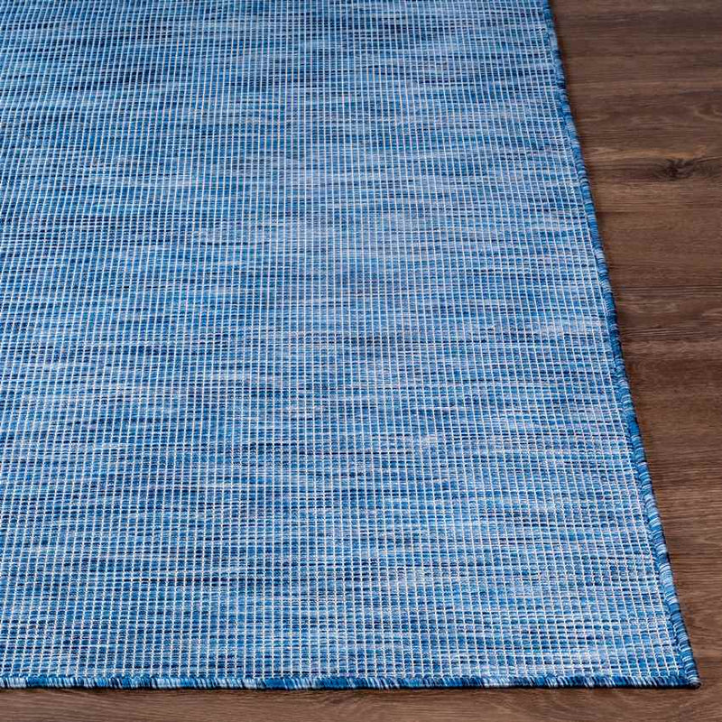 Tonsel Traditional Blue Area Rug