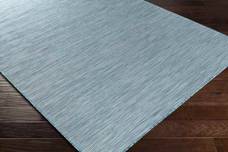 Tonsel Traditional Light Blue Area Rug