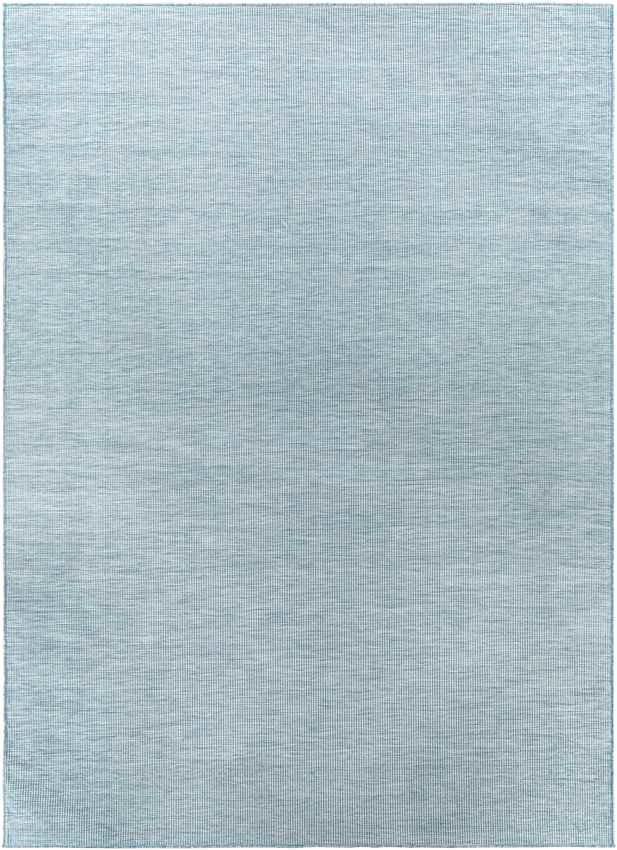 Tonsel Traditional Light Blue Area Rug