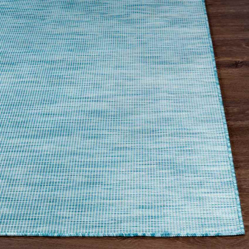 Tonsel Traditional Light Blue Area Rug