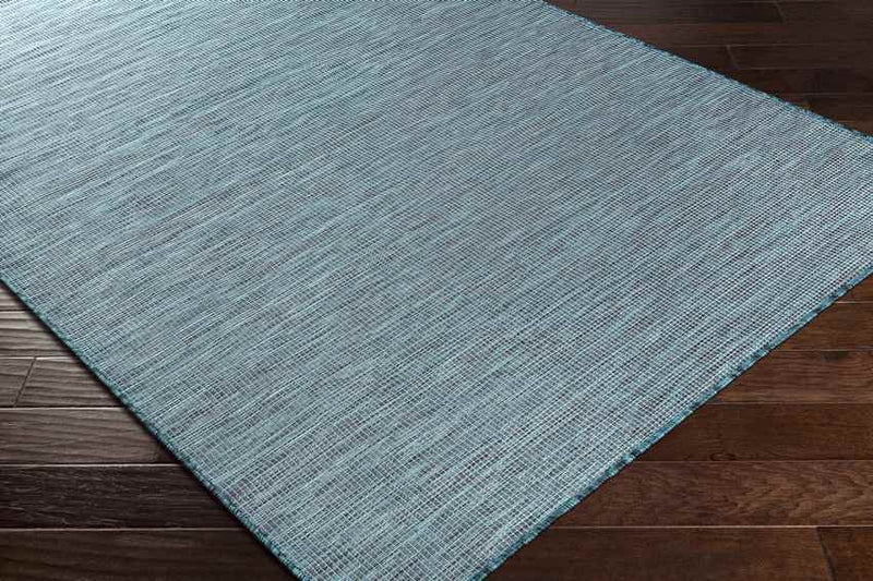 Tonsel Traditional Aqua Area Rug