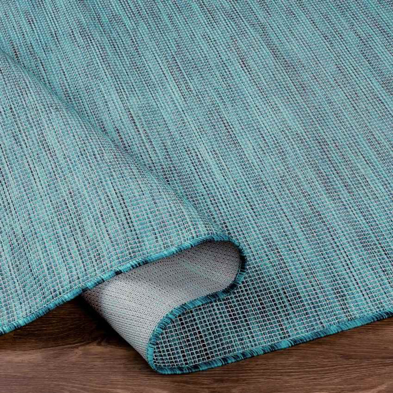 Tonsel Traditional Aqua Area Rug