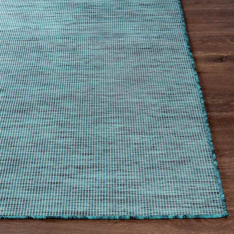 Tonsel Traditional Aqua Area Rug