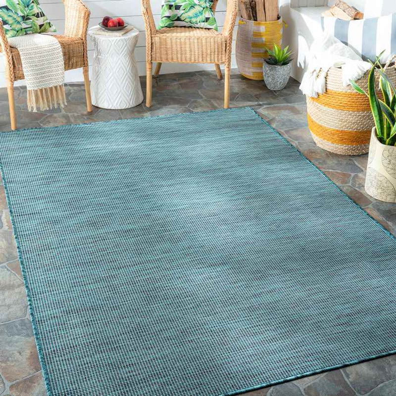 Tonsel Traditional Aqua Area Rug