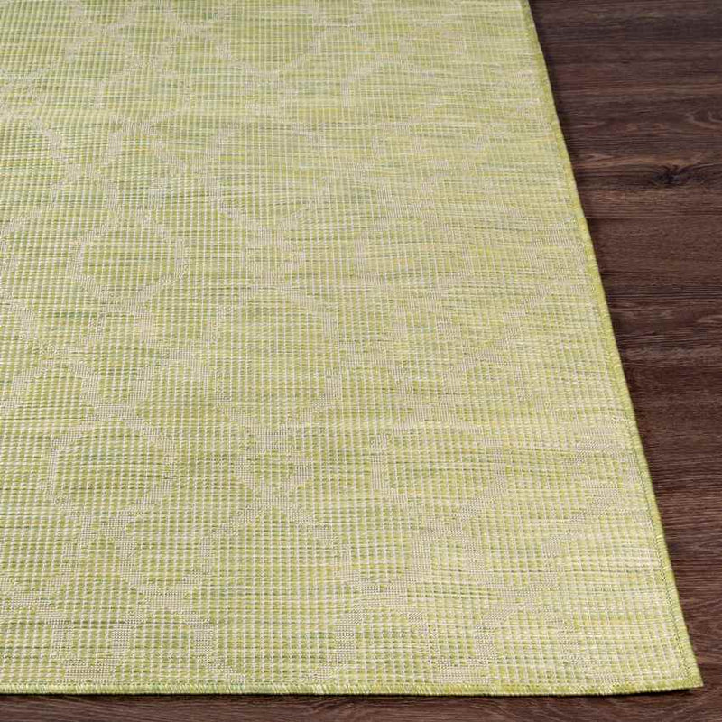 Buiksloot Traditional Olive Area Rug