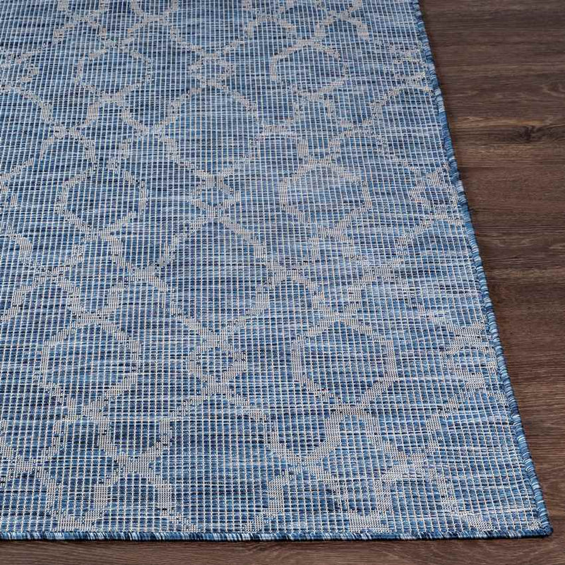 Buiksloot Traditional Navy Area Rug