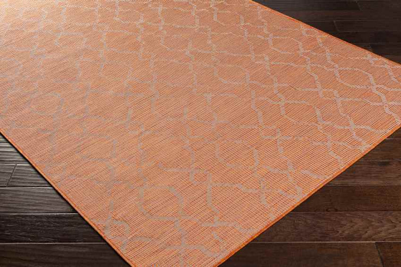 Buiksloot Traditional Bright Orange Area Rug