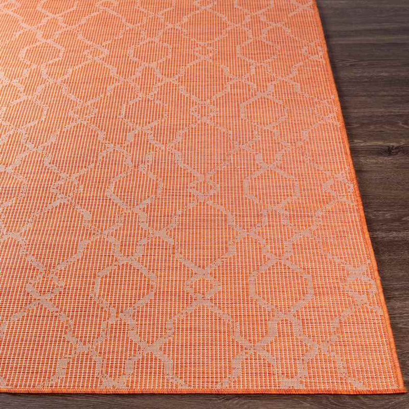 Buiksloot Traditional Bright Orange Area Rug