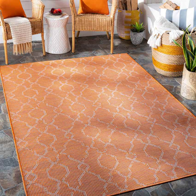 Buiksloot Traditional Bright Orange Area Rug