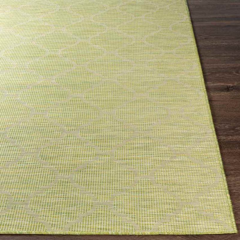 Bussum Traditional Grass Green Area Rug